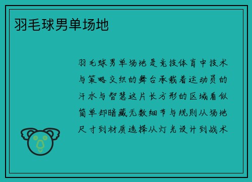 羽毛球男单场地