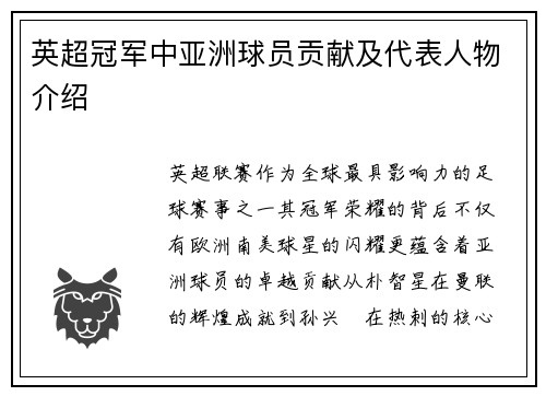 英超冠军中亚洲球员贡献及代表人物介绍